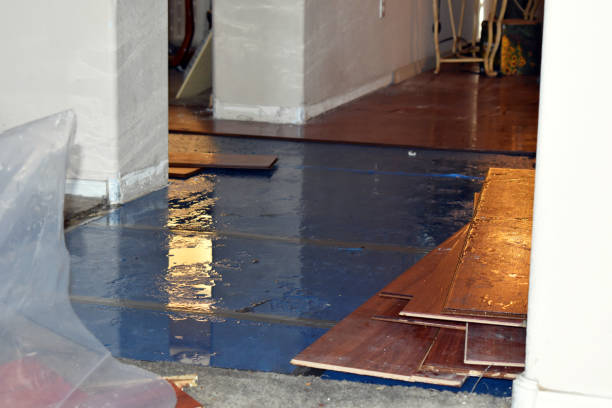 Professional Burst Pipe Cleanup technician working in Brownsville, OR